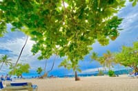 Excursión a Samana, Cascada Limón Y Isla Bacardí 8