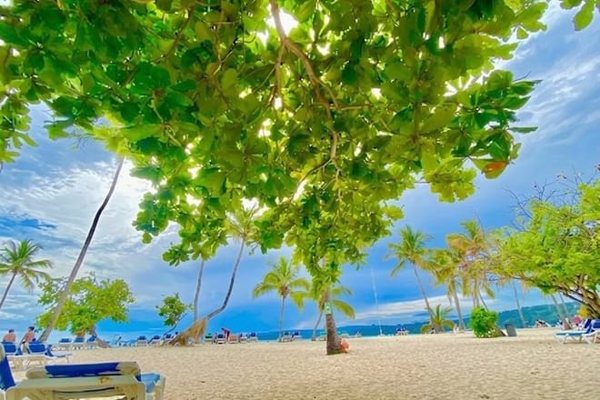 Excursión a Samana, Cascada Limón Y Isla Bacardí 8