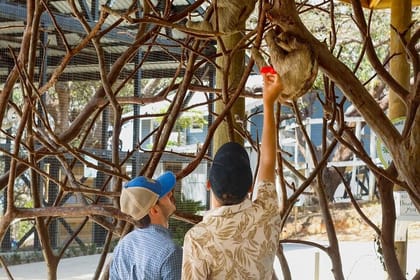 Roatan Wildlife & Private Beach Getaway