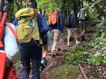 7 – Day Mount Kilimanjaro Trek: Successful Lemosho Route Guided Hike