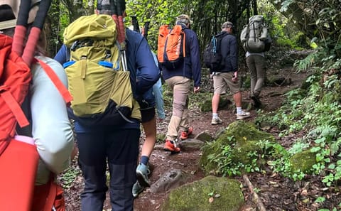 7 – Day Mount Kilimanjaro Trek: Successful Lemosho Route Guided Hike