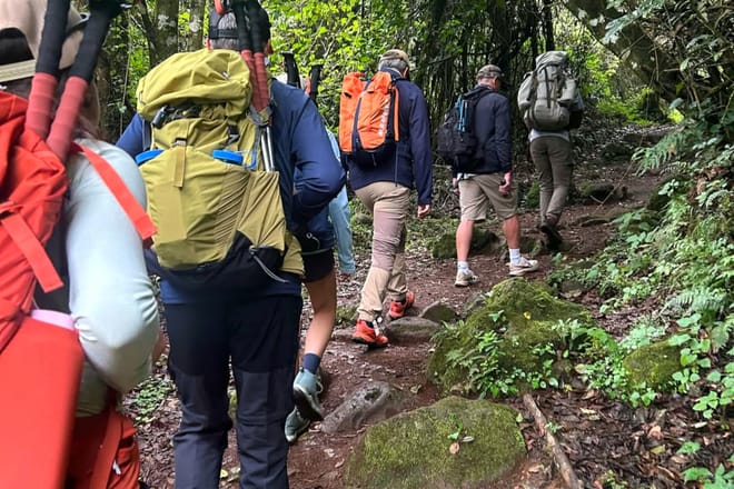 7 - Day Mount Kilimanjaro Trek: Successful Lemosho Route Guided Hike photo 3