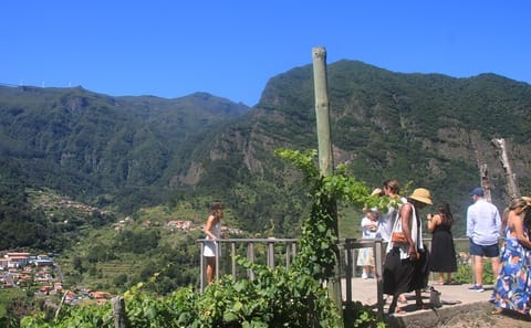 Wine Tasting and 4x4 Adventure in Madeira's Scenic Spots