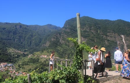 Wine Tasting and 4x4 Adventure in Madeira's Scenic Spots