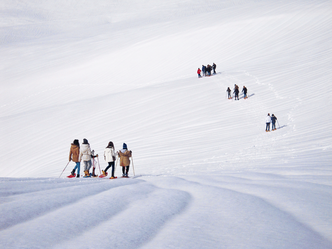 Snowshoeing Fun Tour from Cluj Napoca photo 2