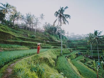 ubud
