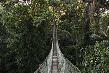 4 Days, Experience in Reserva Amazónica (On Request)