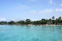 Private Dolphin Watching Experience in Zanzibar  4