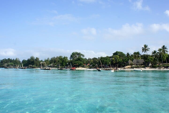 Private Dolphin Watching Experience in Zanzibar  4