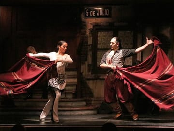 Tango Show and Optional Dinner in Buenos Aires