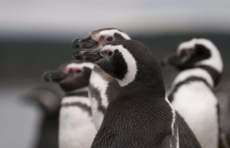 4-Day Private Luxury Trip in Ushuaia