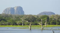 CEYLON BEACH & SAFARI EXPERIENCE  6