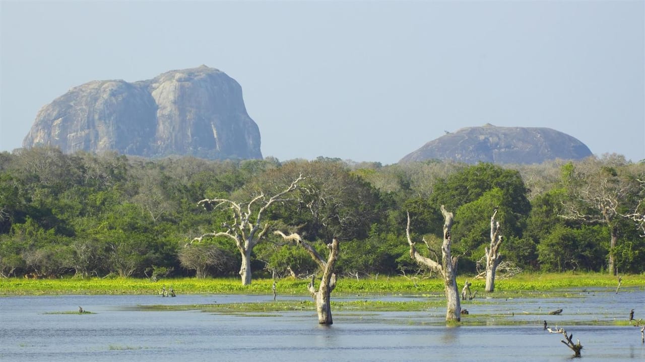 CEYLON BEACH & SAFARI EXPERIENCE  6