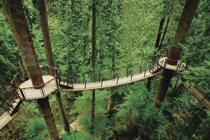 Vancouver Perfect Day Tour Grouse Mountain`& Capilano Suspention Bridge Private