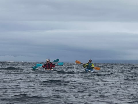 Guided Kayak Tour in Árskógssandur: Explore Coastline & Wildlife, photo 10