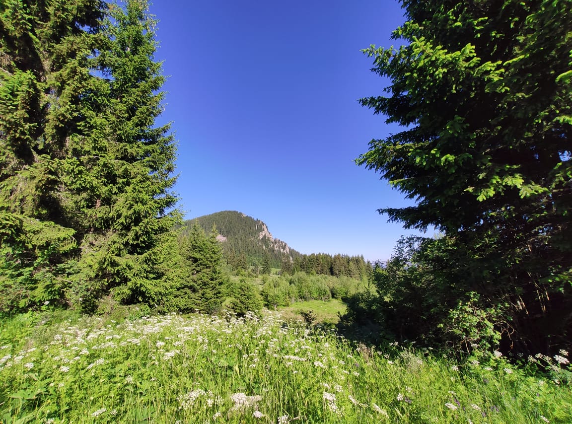 3-Day Bulgaria Private Mountain Biking Tour from Sofia 5