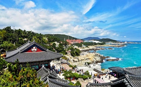 Busan Highlights Small Group Tour for Cruise Passengers