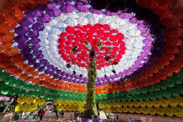 Miracle Garden and Global Village Tour with Transportation in Dubai