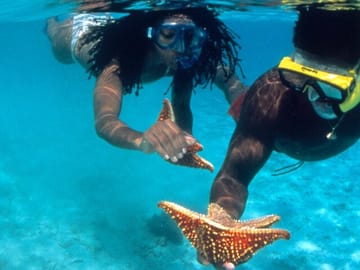 Reggae Rafting and Snorkeling Adventure in Montego Bay