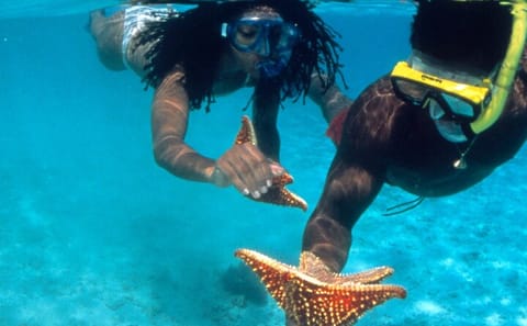 Reggae Rafting and Snorkeling Adventure in Montego Bay
