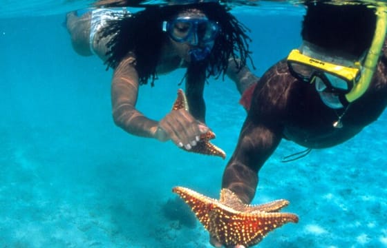 Reggae Rafting Experience with Power Snorkel Party Cruise