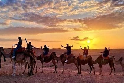 Marrakesh camel ride with dinner show