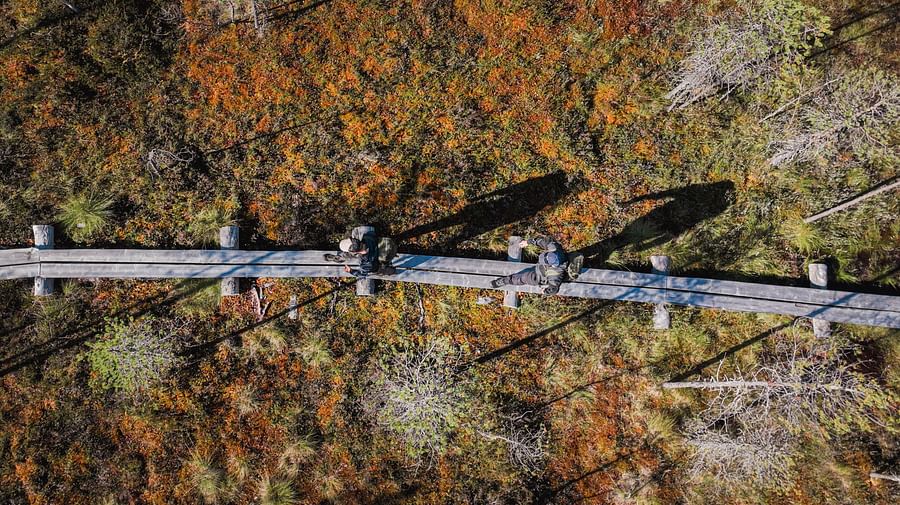 Forest hiking tour, Pure Lapland, Rovaniemi Lapland