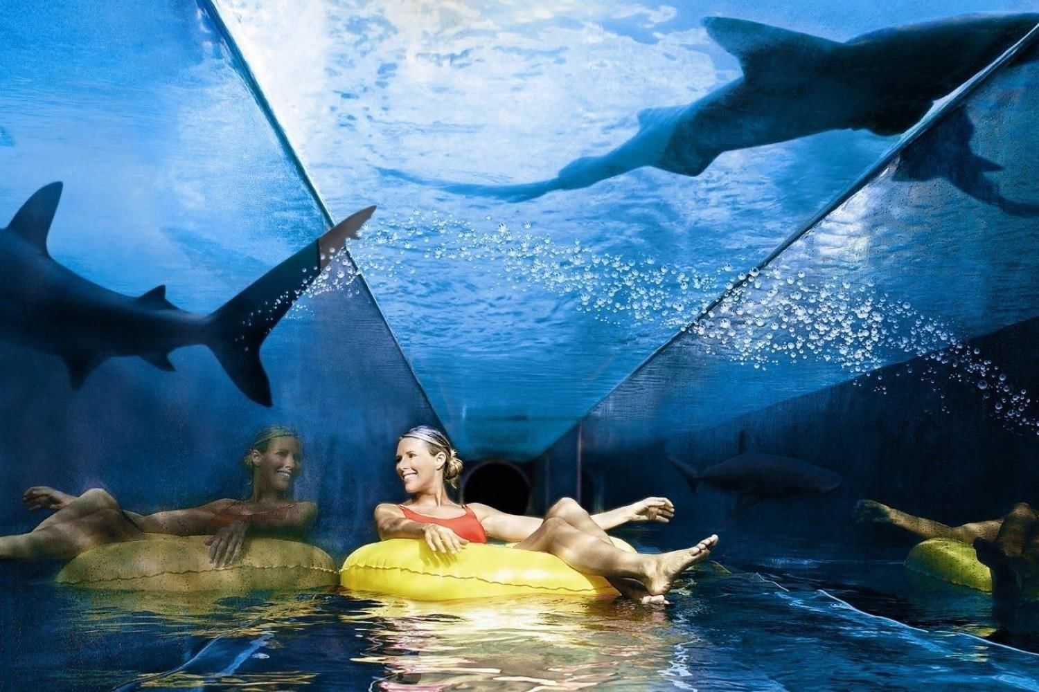 Atlantis Aquaventure with Lost Chamber Ticket with Daytur