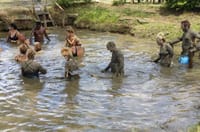 Nadi Sightseeing & Mud Pool Tour - Ex Fiji Marriott, Momi Bay 1