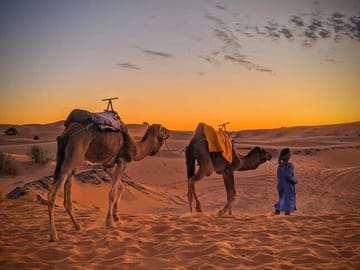 Private 3-Day Luxury Desert Tour from Fes to Marrakech