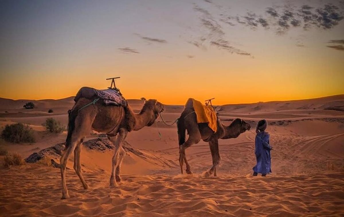 3-Days 2 Nights from Fes to Marrakech Private Luxury Desert trip