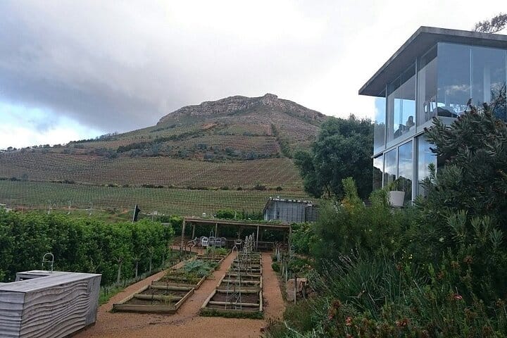 Beau Constantia