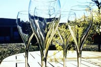 Wine Tasting