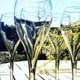 Wine Tasting