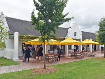 Private Wine Tasting Tour in Franschhoek and Paarl from Cape Town