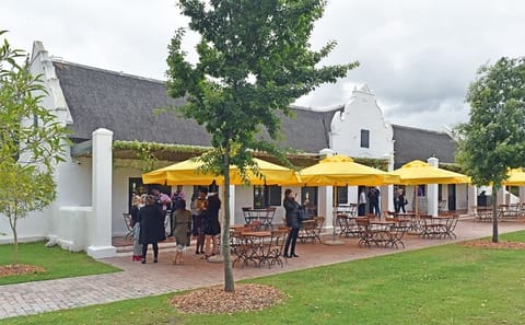 Private Wine Tasting Tour in Franschhoek and Paarl from Cape Town