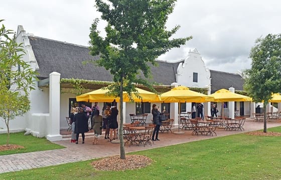 Private Tour of 3 Top Winelands with Wine Tasting from Cape Town