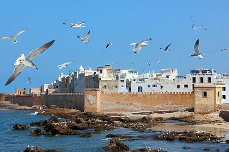Private Tour: Explore Essaouira’s Coastal Charms from Marrakech