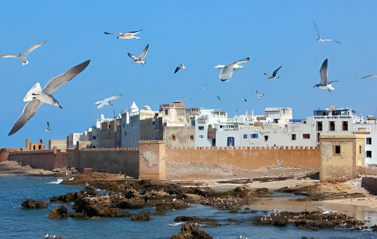 Private Day Trip to Essaouira from Marrakech