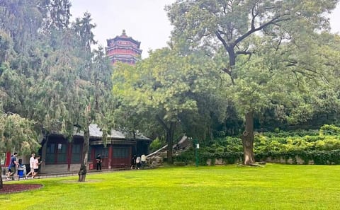 Half-Day Summer Palace Tour with Hutong Rickshaw Ride in Beijing