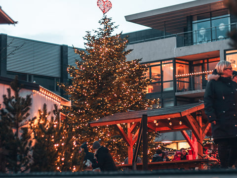 The Icelandic Christmas Advent Driving Tour, photo 6