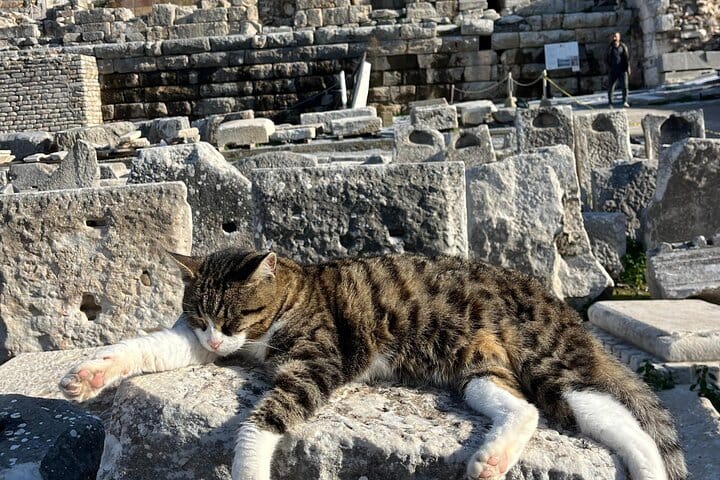 Ephesus Small Group Shore Excursion with Lunch and Guide