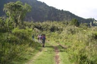 Arusha National Park Day Tour with Walking Safari & Canoeing  3