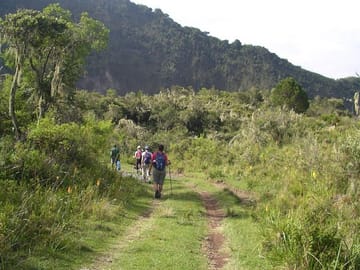 Arusha National Park Day Tour: Walking Safari and Canoeing