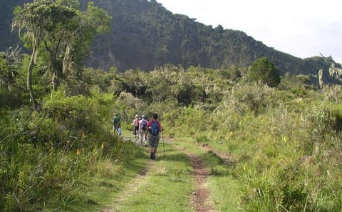 Arusha National Park Day Tour: Walking Safari and Canoeing