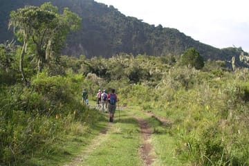 Arusha National Park Day Tour: Walking Safari and Canoeing