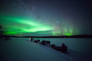 Chasing Auroras by Reindeer Safari