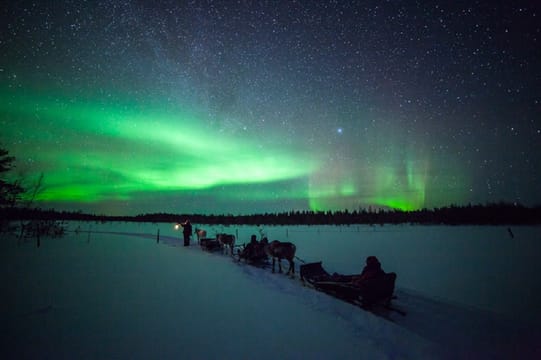 Chasing Auroras by Reindeer Safari