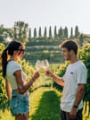 Wine and Food Tasting in the Vineyards 8