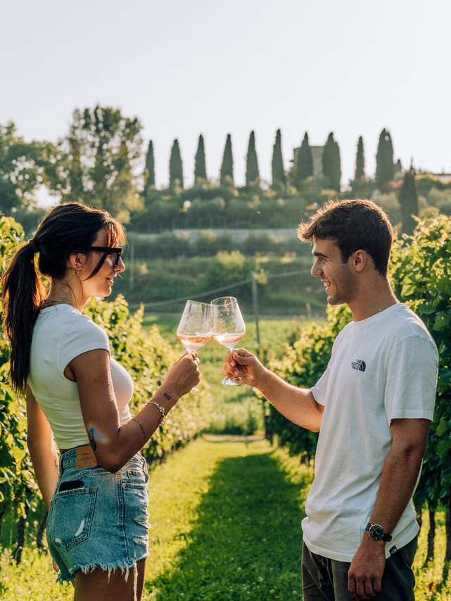Wine and Food Tasting in the Vineyards 8
